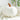 MESSIAH Naminata Elegant Cozy Pumpkin Cushion Pillow from MESSIAH