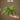 JUHAN Thalassa Ornate Greenery Simulation Plant Arrangement Decor from JUHAN