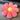 MESSIAH Juniper Soft Floral Tatami Office Pillow from MESSIAH