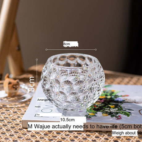 JUHAN Candelaria Glossy Transparent Round Flower Pot - Elegant Living Room Decoration from JUHAN