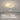 OU DEWEI Elowen Modern Astronaut Ceiling Light Lamp from OU DEWEI