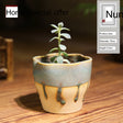 PAULOWNIA Yuna Unique Stone-Look Small Flowerpot from PAULOWNIA