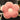 PEANUTS Thimbuktu Cozy Supportive Cushion Pillow from PEANUTS
