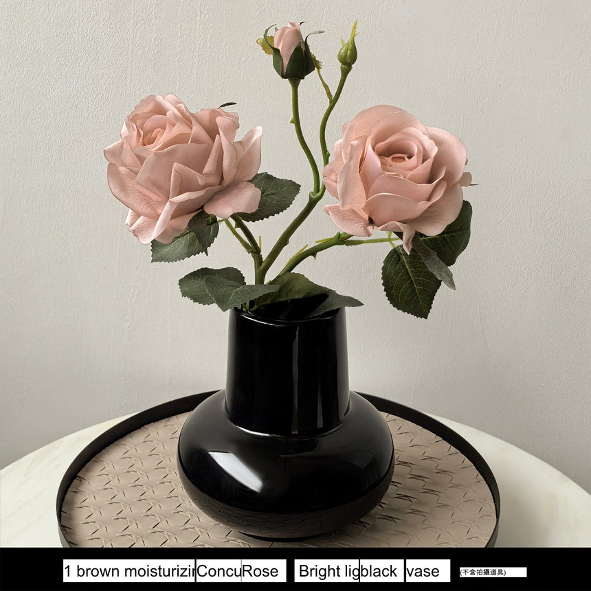 LIVETAI Aveline Elegant Round Ceramic Vase - Luxury Living Room Decor from LIVETAI