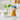 GUANQU Elowen Artistic Scandinavian Jewelry Decor. from GUANQU