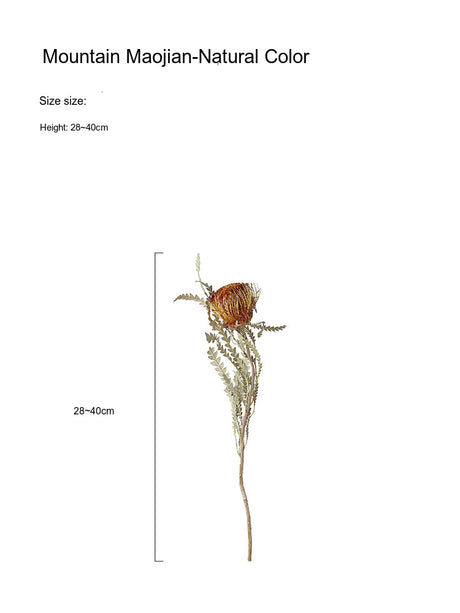 LIVETAI Marisol Whimsical Dry Flower Bouquet Decor from LIVETAI