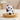 GUANQU Nari Kawaii Nail Art Decoration Birthday Gift from GUANQU