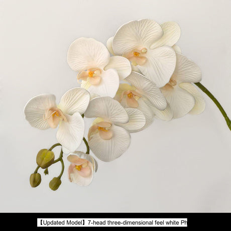 LIVETAI Marcellus Elegant Three-Dimensional Phalaenopsis Flower Arrangement from LIVETAI
