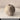 LIVETAI Marisol Elegant Round Ceramic Vase from LIVETAI