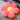 MESSIAH Isolde Vibrant Cozy Cushion Pillow from MESSIAH