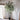 JUHAN Marisol Contemporary Scandinavian Plant Lamp from JUHAN