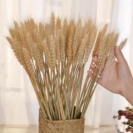 LIVETAI Seraphina Natural Dried Flower Decorative Bouquet from LIVETAI