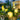 OU DEWEI Marabella Solar-Powered Waterproof Garden Lights from OU DEWEI