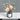 LIVETAI Athos Elegant Transparent Flowerpot Small Vase from LIVETAI
