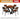 WEIMEI Santiago Elegant Wooden Highchair from WEIMEI
