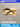 OU DEWEI Ainsley Creative Airplane Ceiling Light for Kids from OU DEWEI