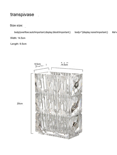 LIVETAI Athos Elegant Transparent Flowerpot Small Vase from LIVETAI