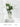 LIVETAI Athos Elegant Transparent Flowerpot Small Vase from LIVETAI