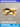 OU DEWEI Ainsley Creative Airplane Ceiling Light for Kids from OU DEWEI