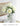 LIVETAI Athos Elegant Transparent Flowerpot Small Vase from LIVETAI