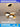 OU DEWEI Ainsley Creative Airplane Ceiling Light for Kids from OU DEWEI