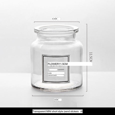 LIVETAI Athos Elegant Transparent Flowerpot Small Vase from LIVETAI
