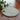 SHIBA Yutaka Colorful Plush Leisure Furniture with Accessories from SHIBA