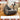 LEDONG Kenji Versatile Cozy Bean Bag Chair from LEDONG