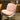 PEANUTS Marcellus Comfortable All-in-One Chair Seat Cushion from PEANUTS