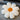 MESSIAH Juniper Soft Floral Tatami Office Pillow from MESSIAH