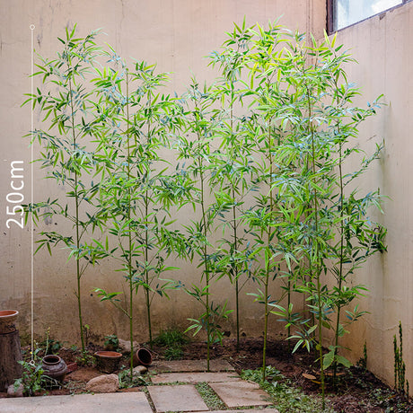 JUHAN Seraphina Eco-Friendly Bamboo Partition Screen from JUHAN