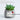 GUANQU Aveline Compact Decorative Table Plant Lamp from GUANQU