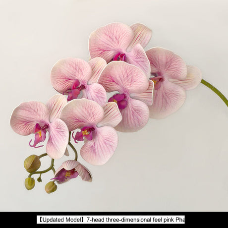 LIVETAI Marcellus Elegant Three-Dimensional Phalaenopsis Flower Arrangement from LIVETAI