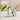 GUANQU Nari Kawaii Nail Art Decoration Birthday Gift from GUANQU