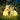 OU DEWEI Marabella Solar-Powered Waterproof Garden Lights from OU DEWEI
