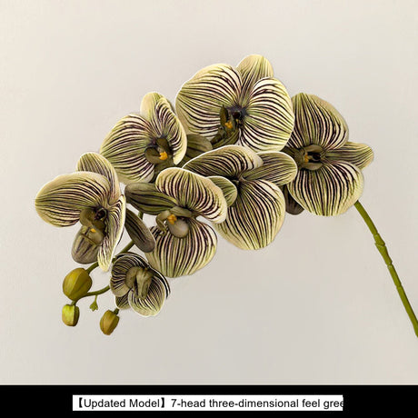 LIVETAI Marcellus Elegant Three-Dimensional Phalaenopsis Flower Arrangement from LIVETAI