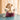 JUHAN Yuzuki Retro Luxury Nail Decoration Living Room Light from JUHAN