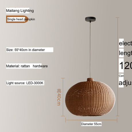 MAILANG Akihiko Modern Elegant Ceiling Light Fixture from MAILANG
