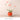 LIVETAI Aisling Modern Scandinavian Aesthetic Flower Pot Decoration from LIVETAI