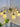 DESIGNER LIGHTING Marcellus Elegant Cream Ceramic Chandelier from DESIGNER LIGHTING