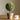JUHAN Isolde Lush Greenery Decorative Potted Plant from JUHAN
