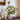 JUHAN Isolde Lush Vibrant Floral Arrangement Decor from JUHAN