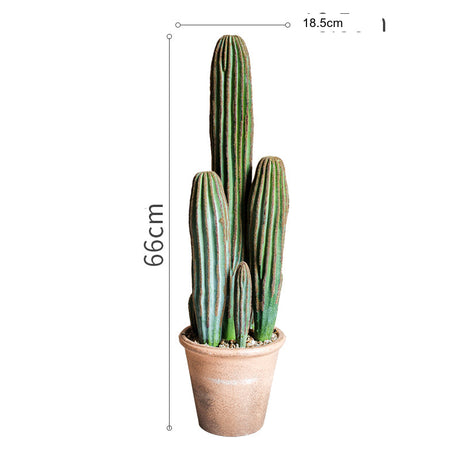 JUHAN Akihiko Lifelike Tropical Bonsai Cactus Decor from JUHAN