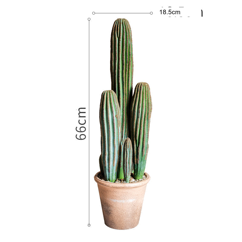 JUHAN Akihiko Lifelike Tropical Bonsai Cactus Decor from JUHAN