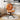 XIMIKA Zephyra Ergonomic Comfort Chair - Children's Study & Office from XIMIKA