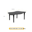 HANKE Santiago Sleek Minimalist Black Coffee Table from HANKE