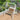 ZIYE Celestino Cozy Portable Baby Rocker from ZIYE