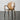 ABOUT WHITE Isolde Elegant Transparent Dining Chair from ABOUT WHITE