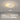 OU DEWEI Elowen Modern Astronaut Ceiling Light Lamp from OU DEWEI