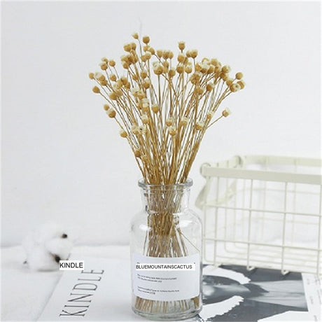 LIVETAI Seraphina Natural Dried Flower Decorative Bouquet from LIVETAI